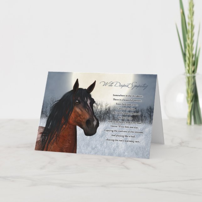 Carte De Sympathie Du Cheval Animaux, Perte Du Che (Devant)