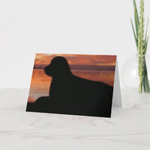 Carte de sympathie du coucher du soleil de Terre-N