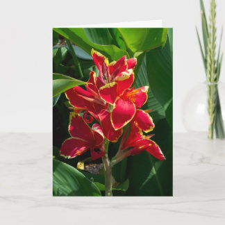Carte de sympathie florale