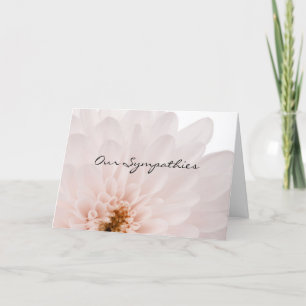 Carte de Sympathie Florale Rose