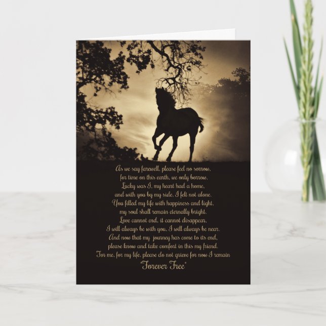 Carte de sympathie Forever Free pour cheval (Devant)
