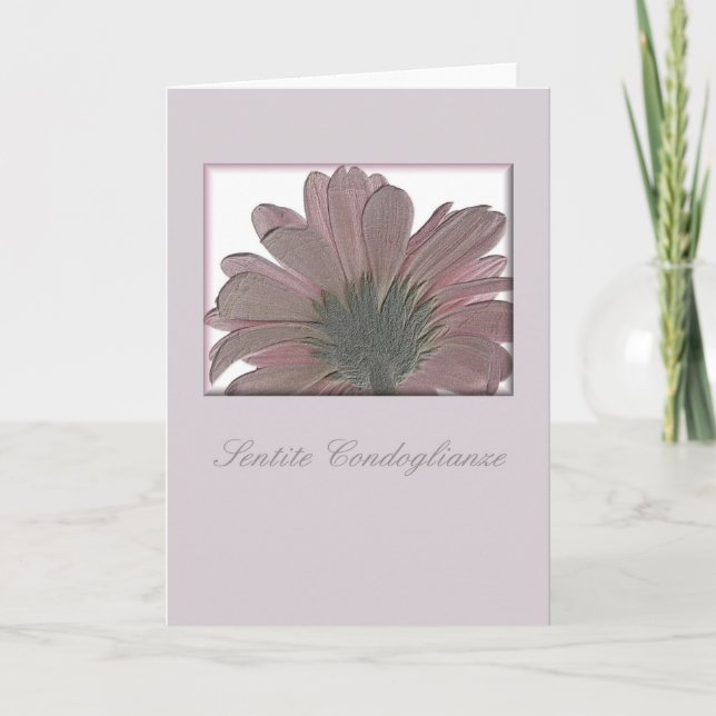 carte de sympathie gerbera rose italien (Devant)