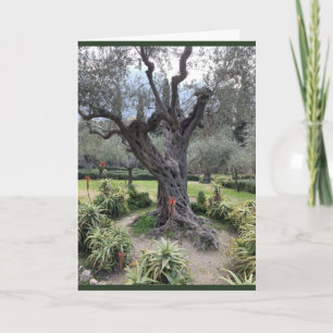Carte de Sympathie Gethsemane