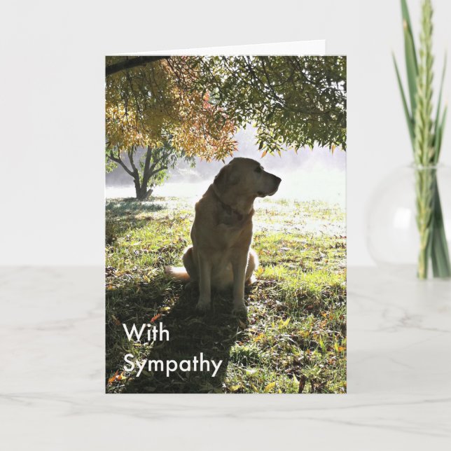 Carte de sympathie Golden Retriever (Devant)