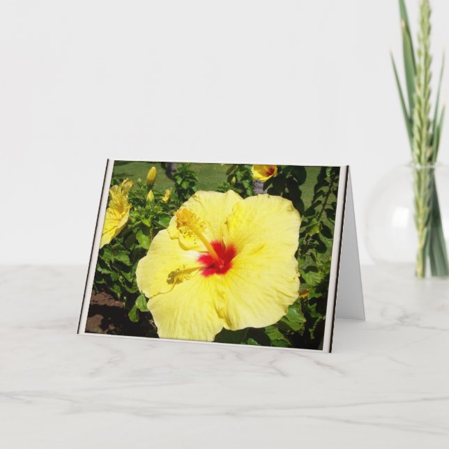 Carte de sympathie jaune de fleur (Devant)