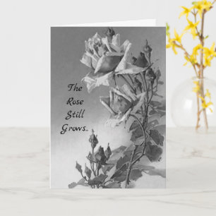 Carte de sympathie Le Rose continue à grandir au-d