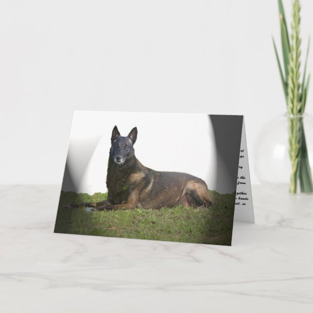 Carte de Sympathie Malinois (Devant)