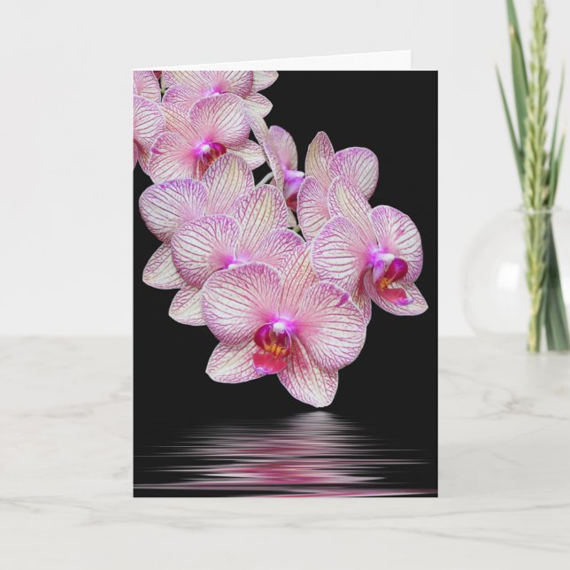 Carte de Sympathie Merci Orchid (Devant)