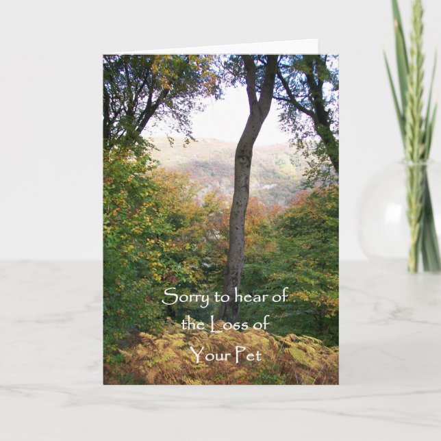 Carte de sympathie, Perte d'animal de compagnie (Devant)
