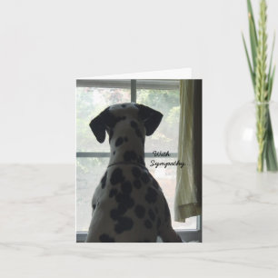Carte de sympathie -- Perte d'un chien