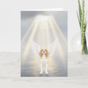 Carte de sympathie pour animal de compagnie Toujou
