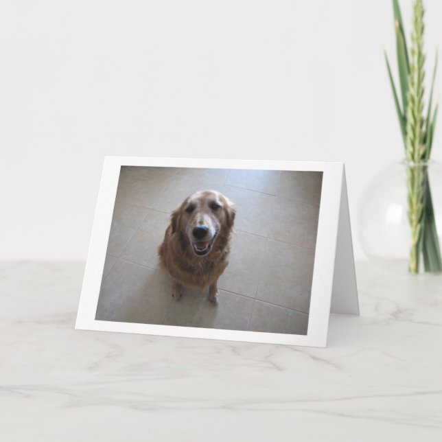 Carte de Sympathie pour animaux - "femelle" (Devant)