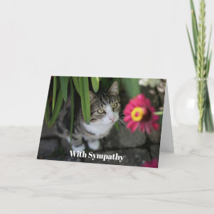 Carte de sympathie pour chat personnalisée Mémoria