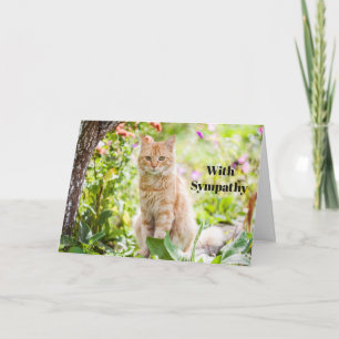 Carte de sympathie pour chat personnalisée Mémoria