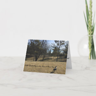 Carte de sympathie pour chien de compagnie Boston