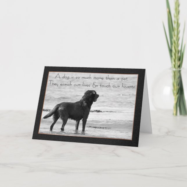 Carte de sympathie pour chien de compagnie - Touch (Devant)