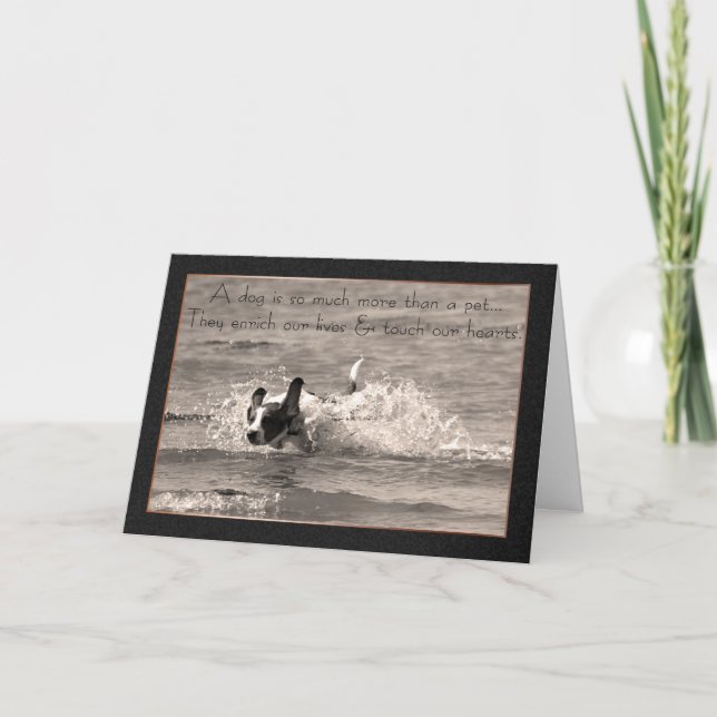 Carte de sympathie pour chien de compagnie - Touch (Devant)