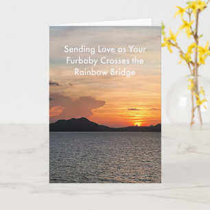 Carte de sympathie pour chien - Nuage dans le ciel