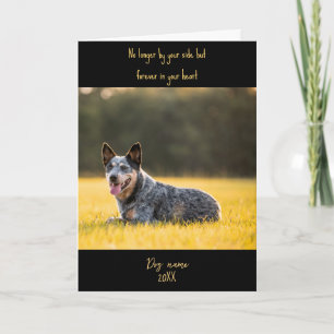 Carte de sympathie pour chien perdu Mémorial avec 