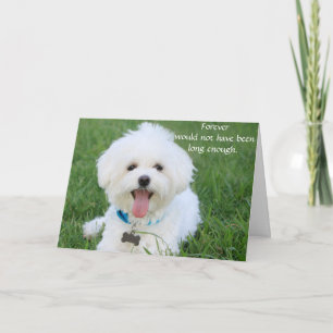 Carte de sympathie pour chien pour perte mémorial