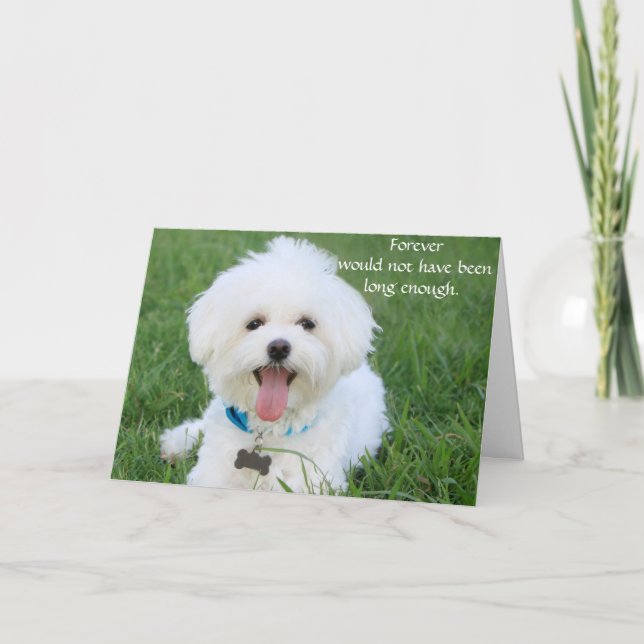 Carte de sympathie pour chien pour perte mémorial  (Devant)
