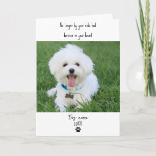 Carte de sympathie pour chien pour perte mémorial