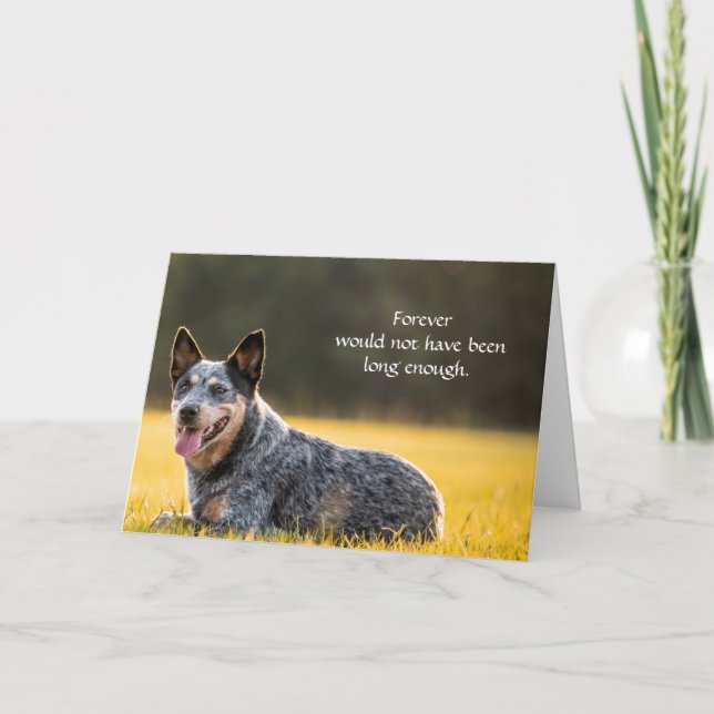 Carte de sympathie pour chien pour perte mémorial  (Devant)
