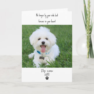 Carte de sympathie pour chien pour perte mémorial