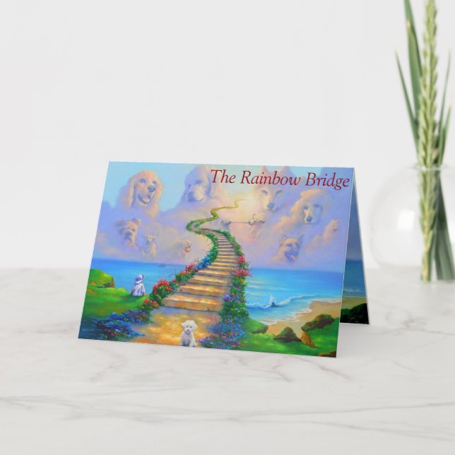 Carte de Sympathie pour les chiens en détresse. (Devant)