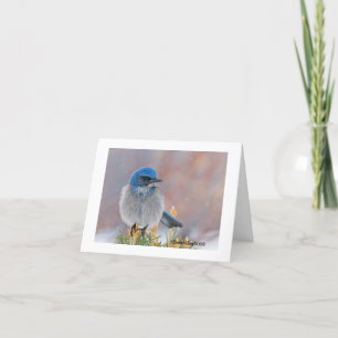 Carte de Sympathie pour l'oiseau