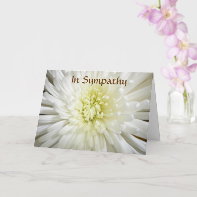 Carte de sympathie (pour n'importe qui) (Orchidée)