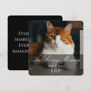 Carte de sympathie pour perte de chat avec photo e