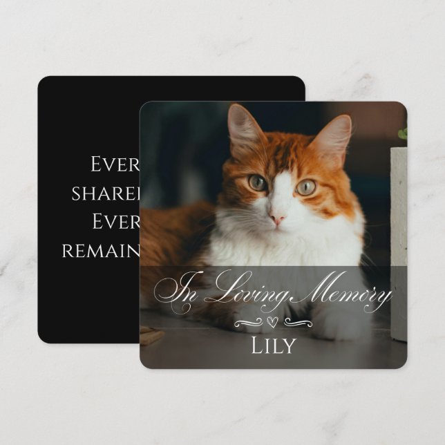 Carte de sympathie pour perte de chat avec photo e (Devant / Derrière)