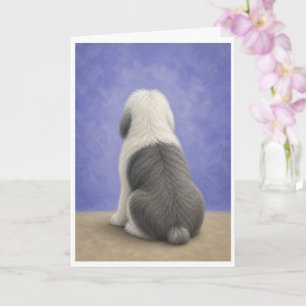Carte de sympathie pour vieux chien de berger angl