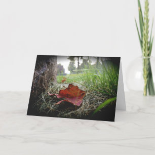 Carte de sympathie « Premier signe de l'automne »