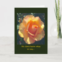 Carte de sympathie sincère Yellow Rose