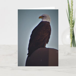 Carte de sympathie « Top Bird »