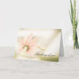 Carte de sympathie, une belle photo de fleur.