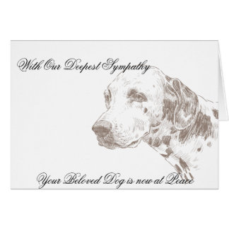 Cartes de correspondance Sympathie La Perte De Chien Cartes de correspondance Sympathie La Perte De Chien