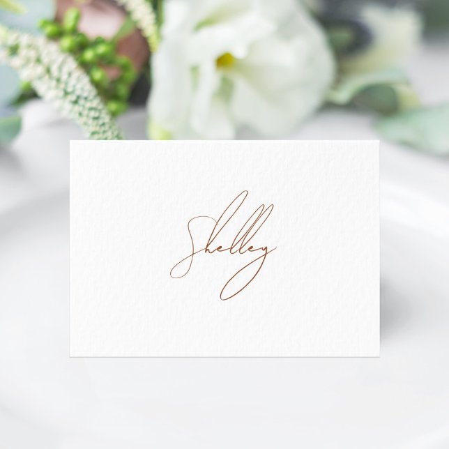 Carte de table de nom d'invité en terre cuite marr (Brown Terracota Individual name Place Card)