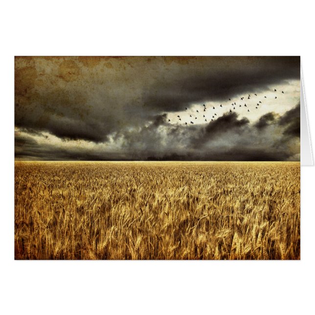 Carte de tempête approchant (Devant horizontal)