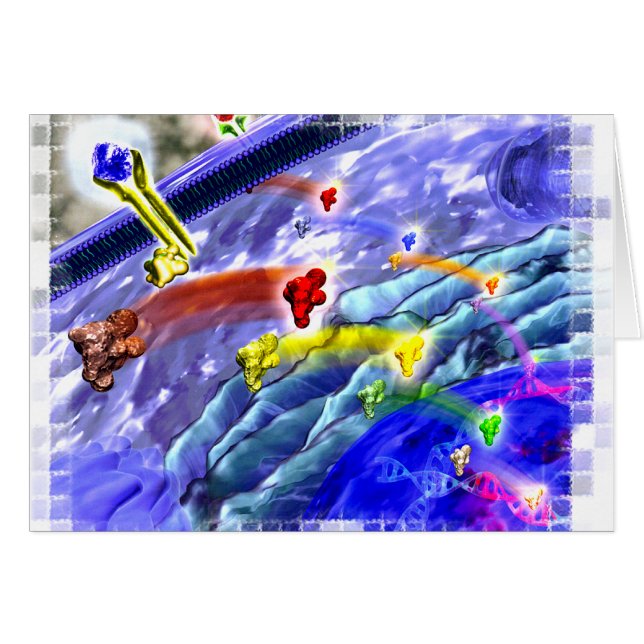 Carte de terre de signalisation (Devant horizontal)