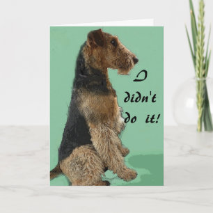 Carte de terrier d'Airedale