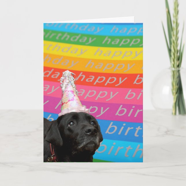 Carte de texte d'anniversaire joyeux couleur chien (Devant)