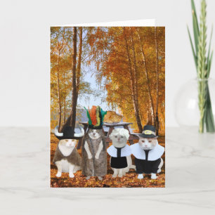 Carte de Thanksgiving Amoureux des chats amusante
