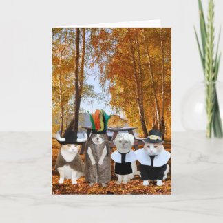 Carte de Thanksgiving Amoureux des chats amusante