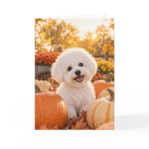 Carte de Thanksgiving Bichon Frisé
