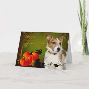 Carte de thanksgiving de Jack Russell Terrier