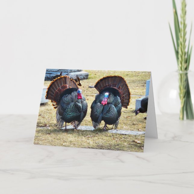 Carte de Thanksgiving "Dindes de la même plume" (Devant)