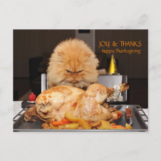 Carte de Thanksgiving drôle de chat
